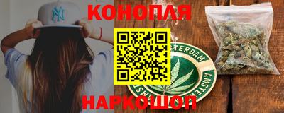 шишки Будённовск