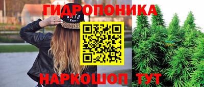 шишки Будённовск