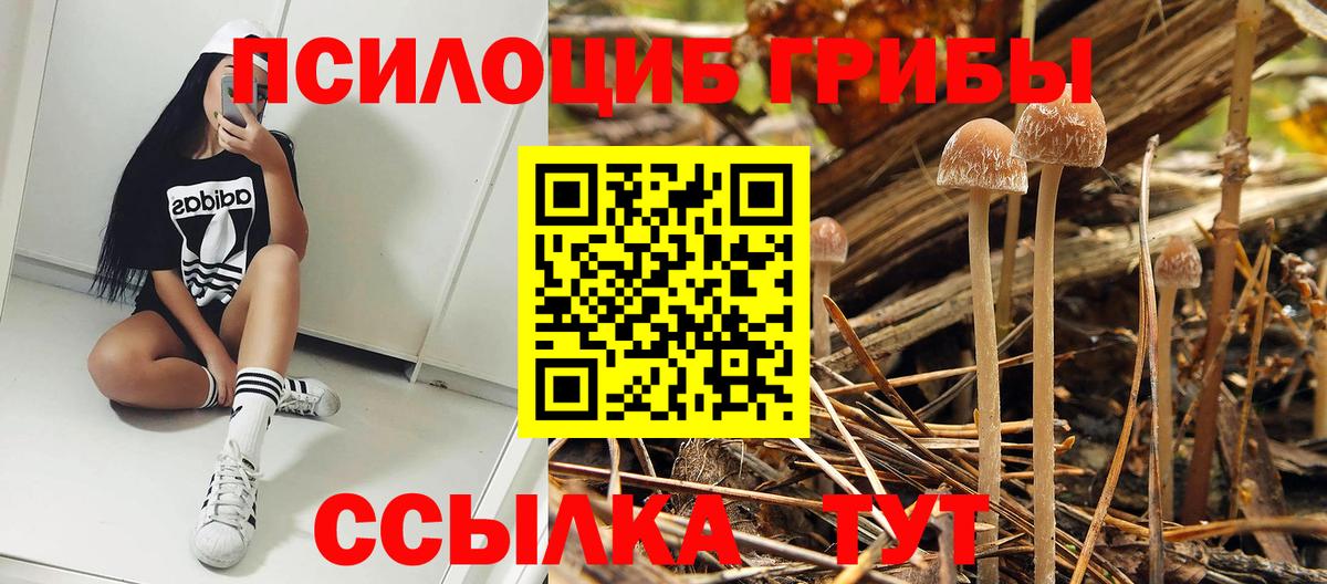 Псилоцибиновые грибы Magic Shrooms  Галлюциногенные грибы Psilocybe  Светлоград  купить   Вход с VPN 